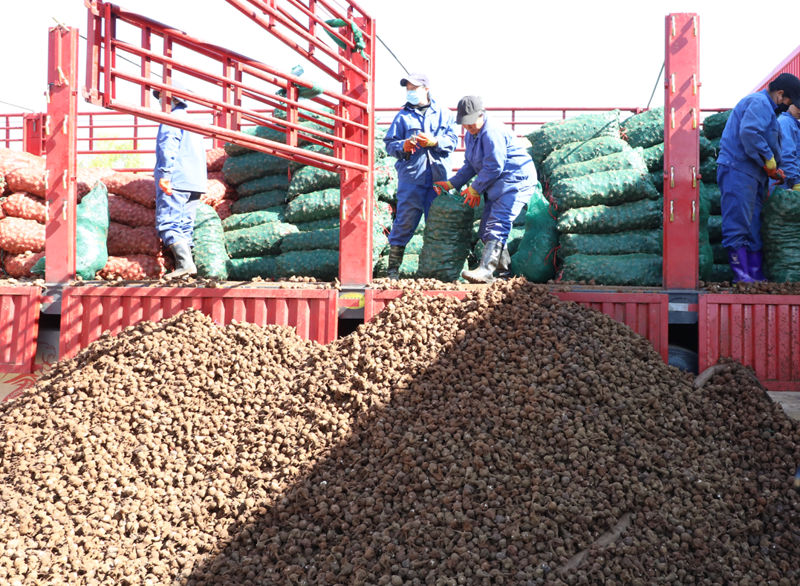 1698822663360602.png 微信圖片_20231101150946.png