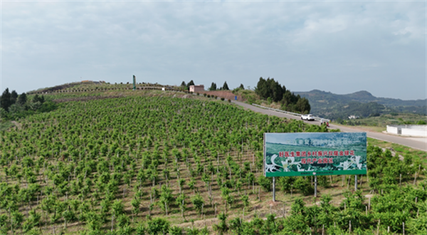 1748423444695074.png 圖片1.png