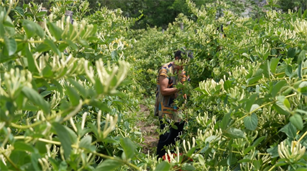 1748423460360960.png 圖片3.png