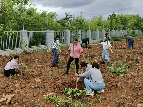 1748505784735643.jpg _cgi-bin_mmwebwx-bin_webwxgetmsgimg__&MsgID=1820266283405220696&skey=@crypt_7fa2bd95_106e81338dcb4e59a55990a6d523ef38&mmweb_appid=wx_webfilehelper.jpg