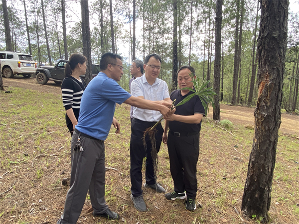 1751875424867447.jpg 3.jpg