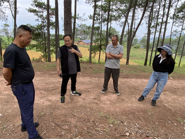 1751875433386729.jpg 5.jpg